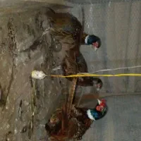 خروس وحشی|حیوانات مزرعه|نوشهر, |دیوار