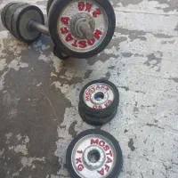 دمبل