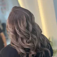 رنگ ولایت تخصصی