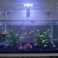 آکواریوم بزرگ شیشه خم