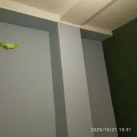 نقاشی ساختمان با رنگ رجال و ضمانت کتبی|خدمات پیشه و مهارت|بم, |دیوار