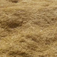 سلام کاه تمیز