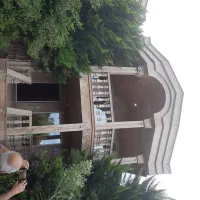 ویلادوبلکس/ویوجنگل/کد۴۲۲۳/حبوباتی