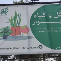 گلخانه با تمام تجهیزات