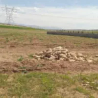 فروش زمین باغشهری در مجموعه ارم