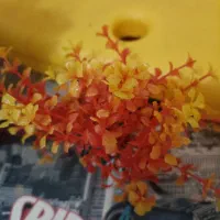 آکواریوم شیشه خم|ماهی|بافت, |دیوار