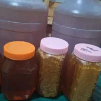 عسل به شرط و تضمینی|خوردنی و آشامیدنی|یاسوج, |دیوار