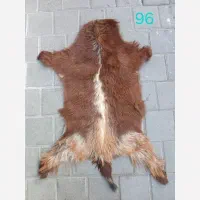 پوست بز چرم