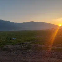 تابلو نقاشی