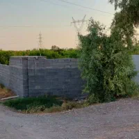 فروش باغچه با درختان ۷سااه