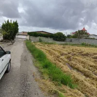 فروش زمین کشاورزی داخل بافت (خانه سرا)|فروش زمین و ملک کلنگی|هادی شهر, |دیوار