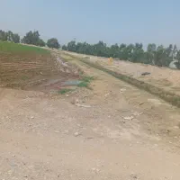 اجاره ۵ هکتار زمین کشاورزی پشت پمپ بنزین نساروند|اجارهٔ دفتر صنعتی، کشاورزی، تجاری|دزفول, |دیوار
