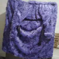 پالتو خزدار