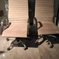 صندلی کارشناسی