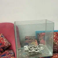 آکواریوم