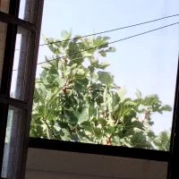 رهن-واجاره