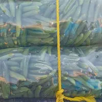 صیفی جات جهت مصرف دام|خوردنی و آشامیدنی|اندیمشک, |دیوار