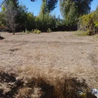 باغچه داخل بافت با مجوزساخت|فروش زمین و ملک کلنگی|ارشق, |دیوار