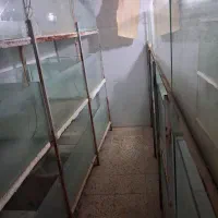 ۴۵ عدد اکواریوم پرورش ماهی زینتی|ماهی|ساوه, |دیوار