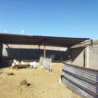 اجاره ی چهار دیواری|اجارهٔ دفتر صنعتی، کشاورزی، تجاری|بیرجند, |دیوار