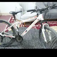 دوچرخه ویوا 26