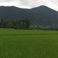 خانه ویلایی|اجارهٔ کوتاهمدت ویلا و باغ|گوراب زرمیخ, |دیوار