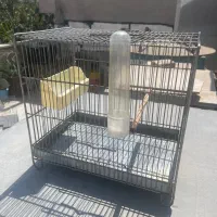 قفس سهره حسین فضلی