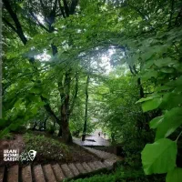 تور شاد بابلسر|تور و چارتر|مشهد, موسوی قوچانی|دیوار