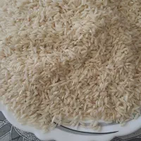 ۲۵۰کیلو برنج محلی