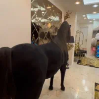 مجسمه اسب فایبرگلاس کینگ سایز