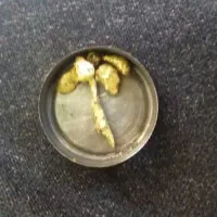 شهابسنگ|کلکسیون اشیاء عتیقه|کرمانشاه, |دیوار