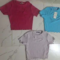 تعدادی کراپ و بادی زیر قیمت|لباس|شیراز, بعثت|دیوار