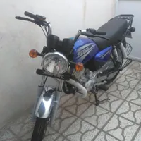 تیزپر توس۱۴۰۲