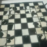 فرش از جنس پوست