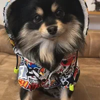 سیم کارت ۹۱۹