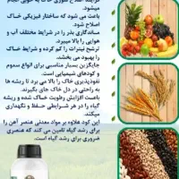 ۱۲۰ عددسطل کود یک کیلویی ارگانیک قیمت قبل|گل و گیاه طبیعی|شیراز, دباغ خانه|دیوار