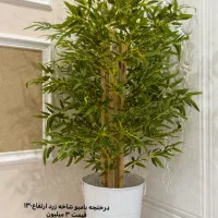 درختچه بامبو مصنوعی ۱/۵ متری با تنه طبیعی|گل مصنوعی|مشهد, شهرک لشکر (شهرک غرب)|دیوار