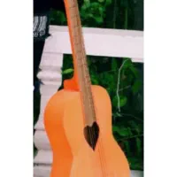 گیتار (خیلی نو)