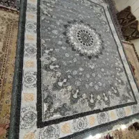 نمایندگی فرش ۱۲متری و۹و۶|فرش|کلاله, |دیوار