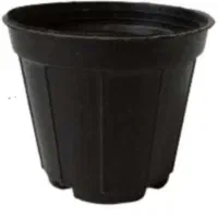 گلدون سایز ۶