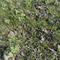 اسفناج ۳۵۰۰ متر