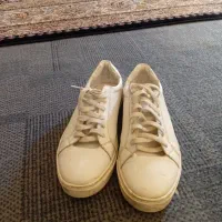 کفش|کیف، کفش، کمربند|یاسوج, |دیوار