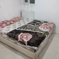 اجاره آپارتمان دو خوابه تمیز و شیک|اجارهٔ کوتاه‌مدت آپارتمان و سوئیت|شیراز, ریاستی|دیوار