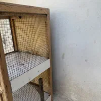 گنجه کفتری|لوازم جانبی حیوانات|شیراز, شیخ علی چوپان|دیوار