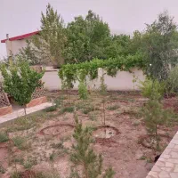 فروش باغ ویلا کوهپایه ده لولو بلوارباهنر|فروش خانه و ویلا|کرمان, |دیوار