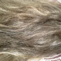 کلاه گیس|آرایشگاه و سالن‌های زیبایی|قوچان, |دیوار