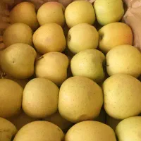 سیب سفید و قرمز ترگور