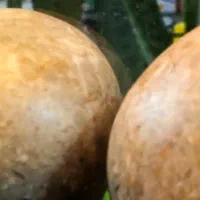 سنگ گرد قیمتی برش نخورده|جواهرات|کرج, کارخانه قند|دیوار