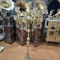 آباژور کنارسالنی فرشته ۲ گل ۱۶شعله