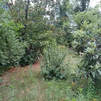 خانه ویلایی ۱۶۳۲ متری در روستای زیبای گیلده|فروش خانه و ویلا|آستارا, |دیوار
